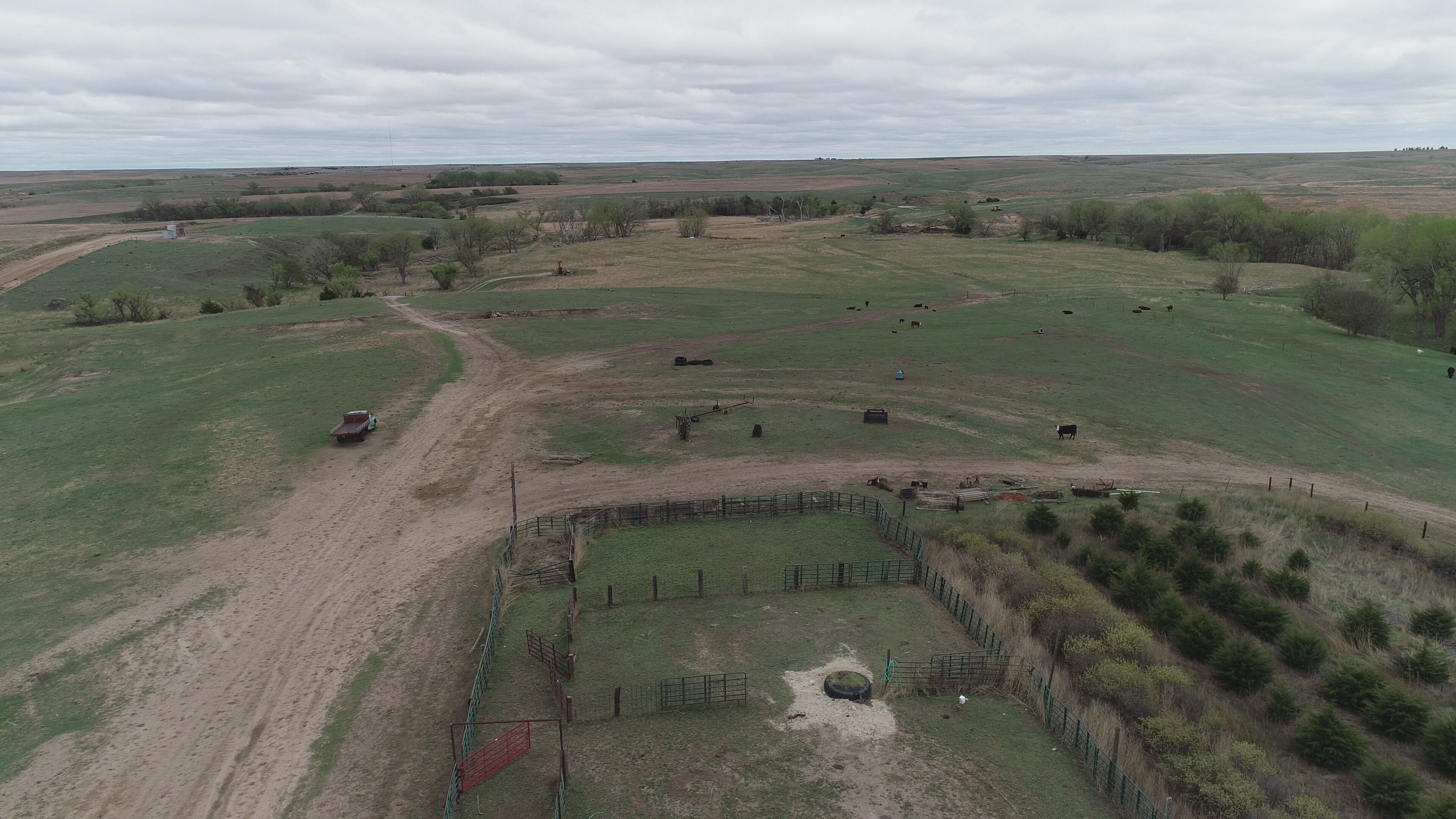 Item 7 in 1184 acres +/- Graham Co. Native Fenced Grassland gallery