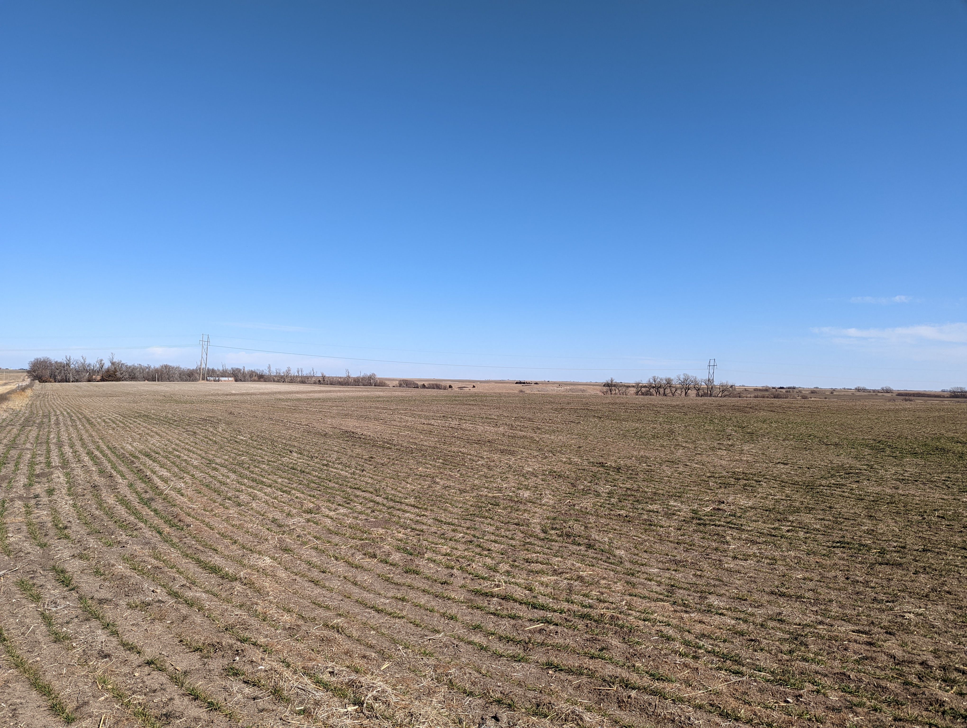 Item 15 in SOLD!!! Auction: 800 Acres +/- Trego Co., KS gallery
