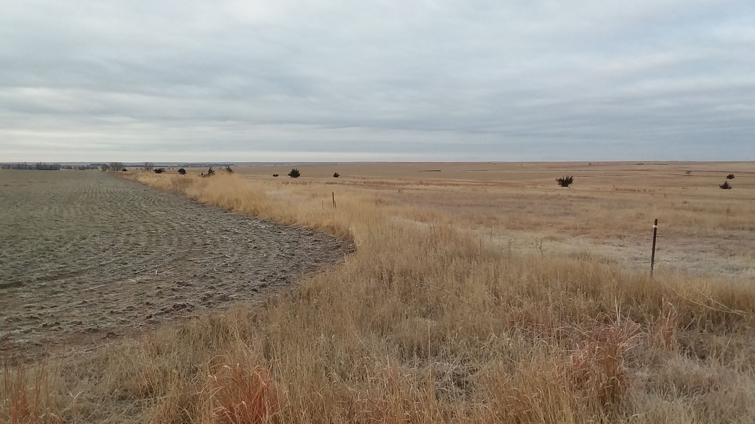Item 22 in *SOLD* Auction: 800 +/- Acres Ness County, KS gallery