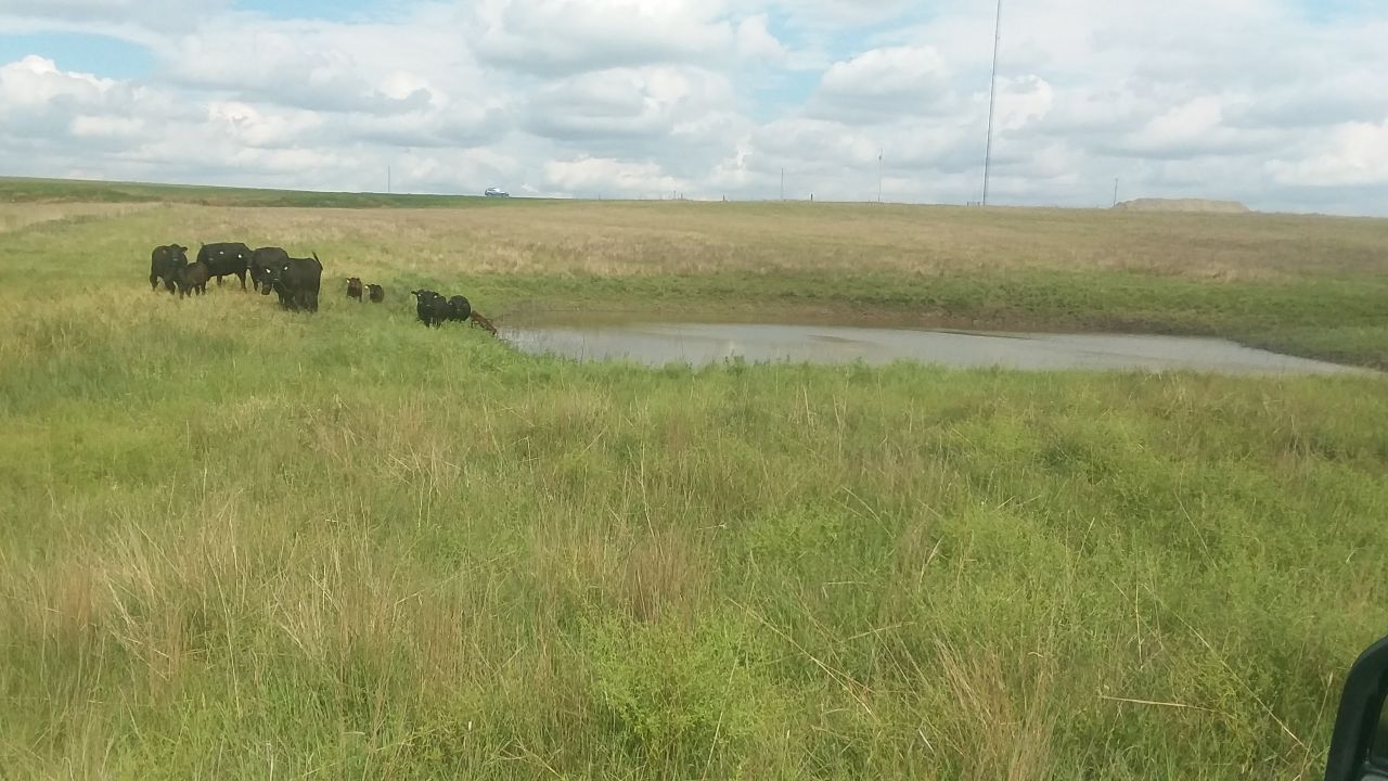 Item 4 in SOLD! 75 +/ Acres Rush County, Kansas gallery