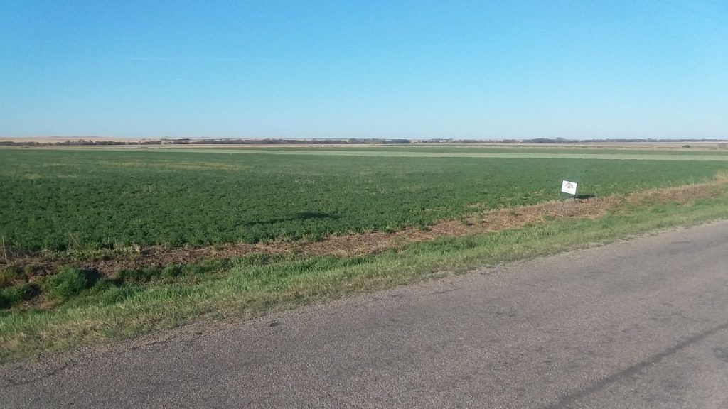 Item 1 in 75 +/ Acres, Rush Co., KS gallery