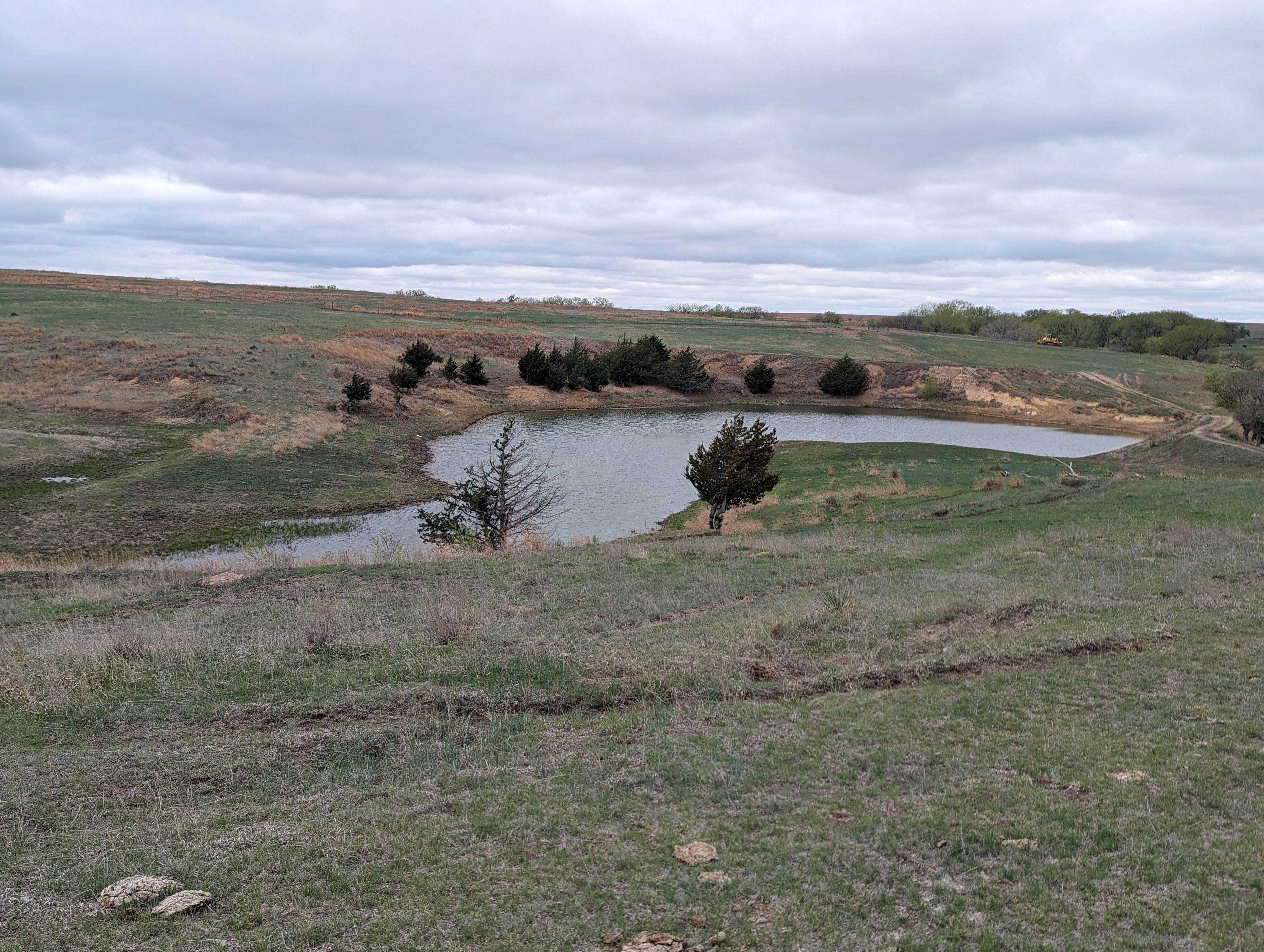 Item 8 in 1184 acres +/- Graham Co. Native Fenced Grassland gallery