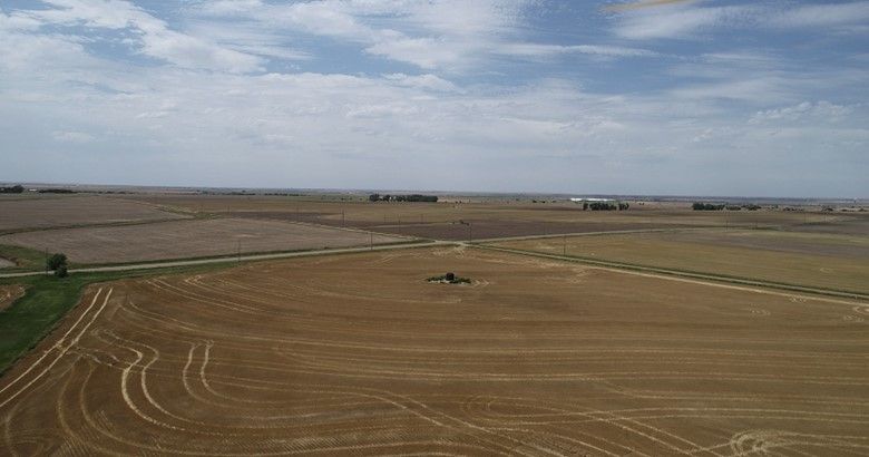 Item 1 in Auction: 160 acres +/- Rush County, KS gallery