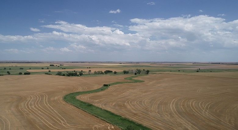 Item 5 in SOLD!!!! Auction: 160 acres +/- Rush County, KS gallery