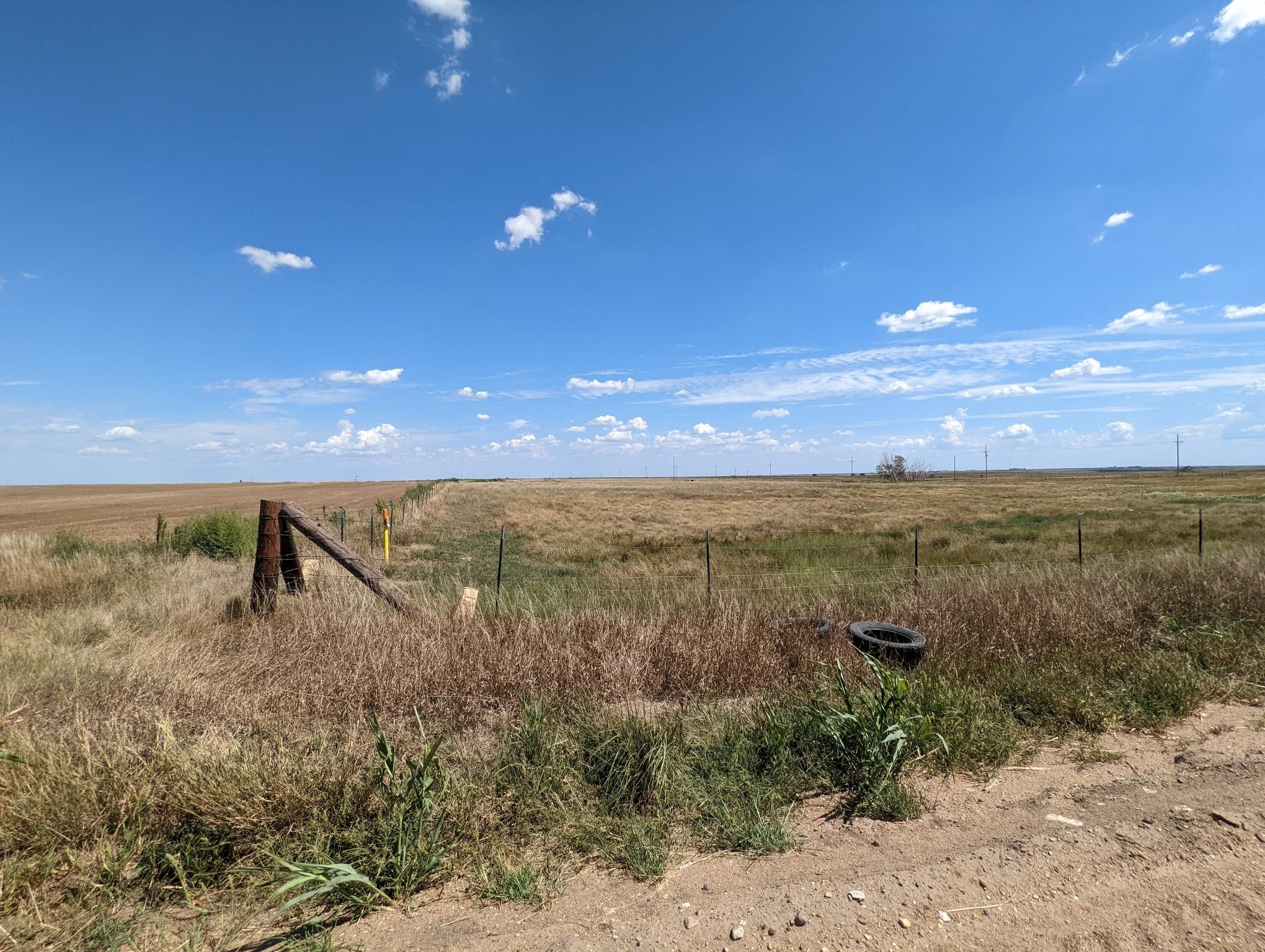 Item 7 in **SOLD** Auction: 260 +/- Acres Ellis County, Kansas gallery