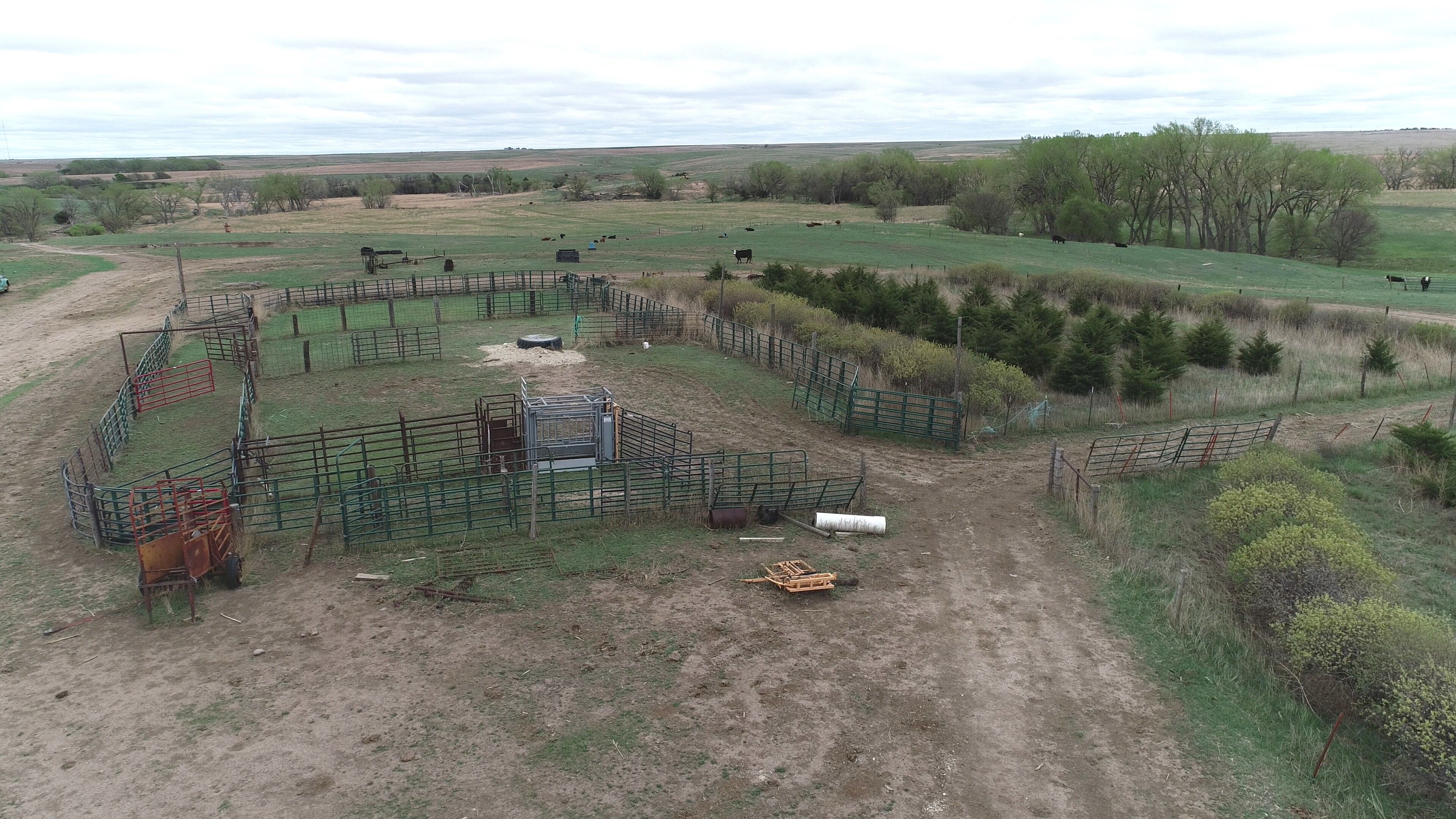 Item 6 in 1184 acres +/- Graham Co. Native Fenced Grassland gallery