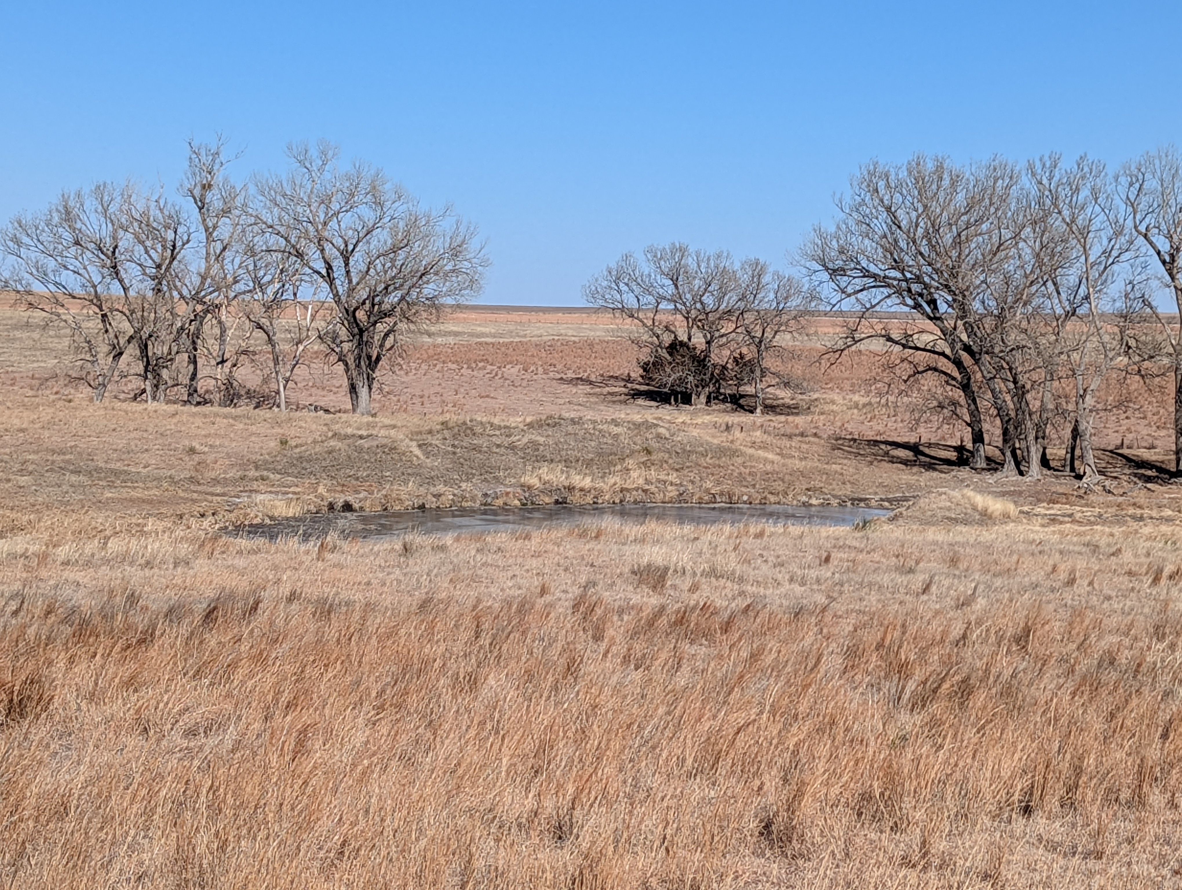 Item 9 in SOLD!!! Auction: 800 Acres +/- Trego Co., KS gallery