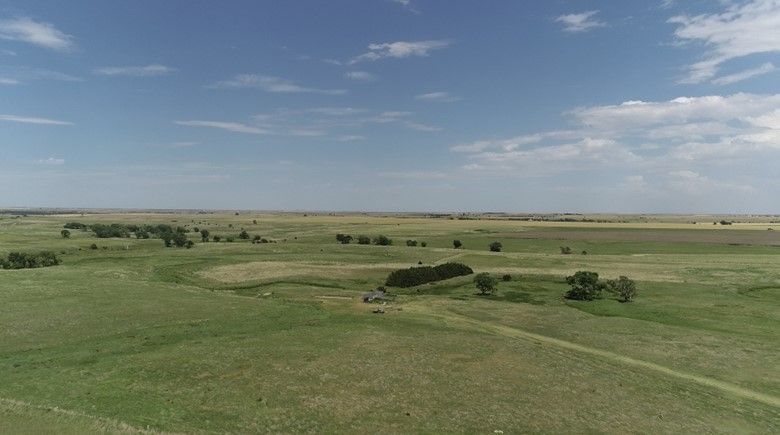 Item 7 in SOLD!!!! Auction : 150 acres +/- Rush County, KS gallery