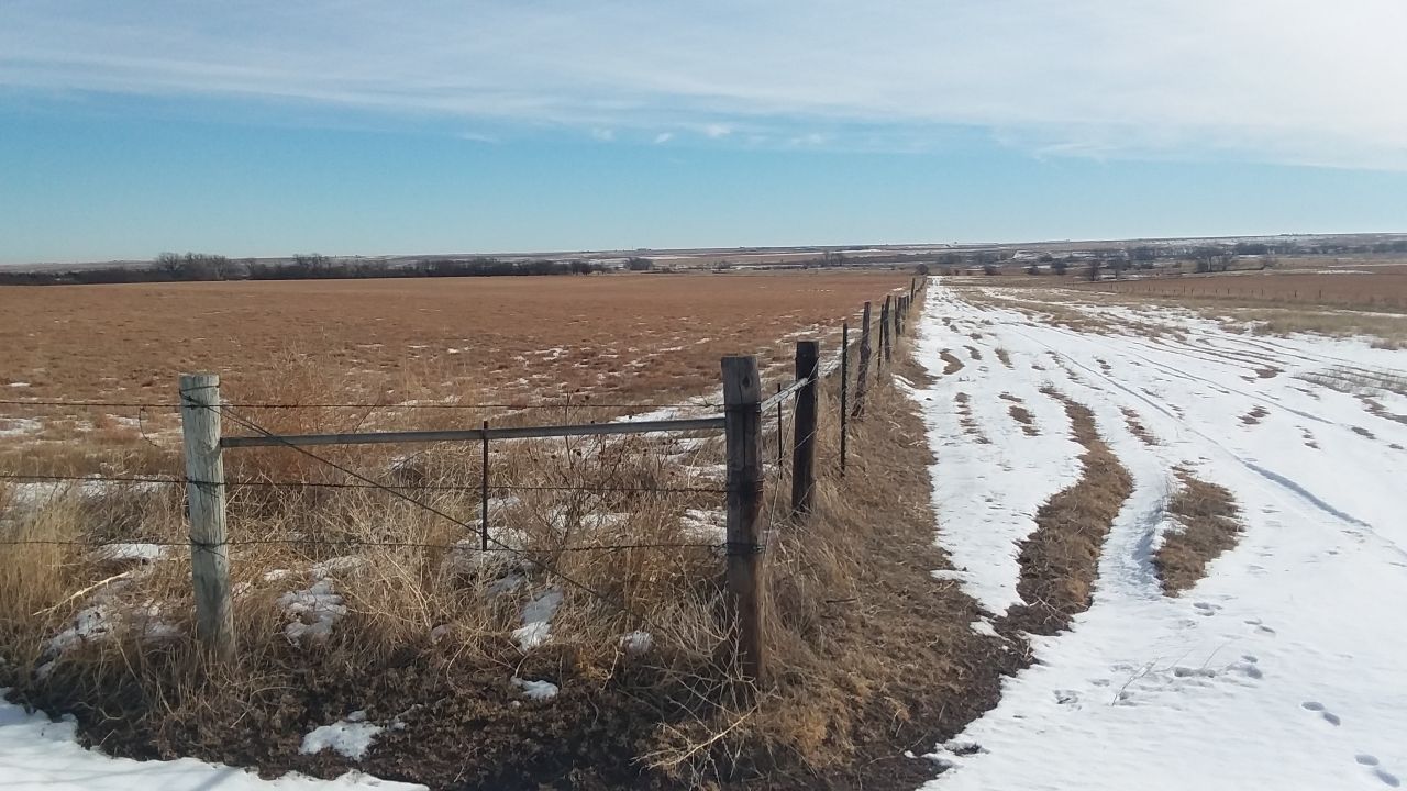 Item 6 in 240 +/ Acres Ness County, Kansas gallery