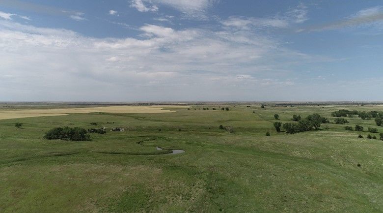 Item 5 in Auction : 150 acres +/- Rush County, KS gallery