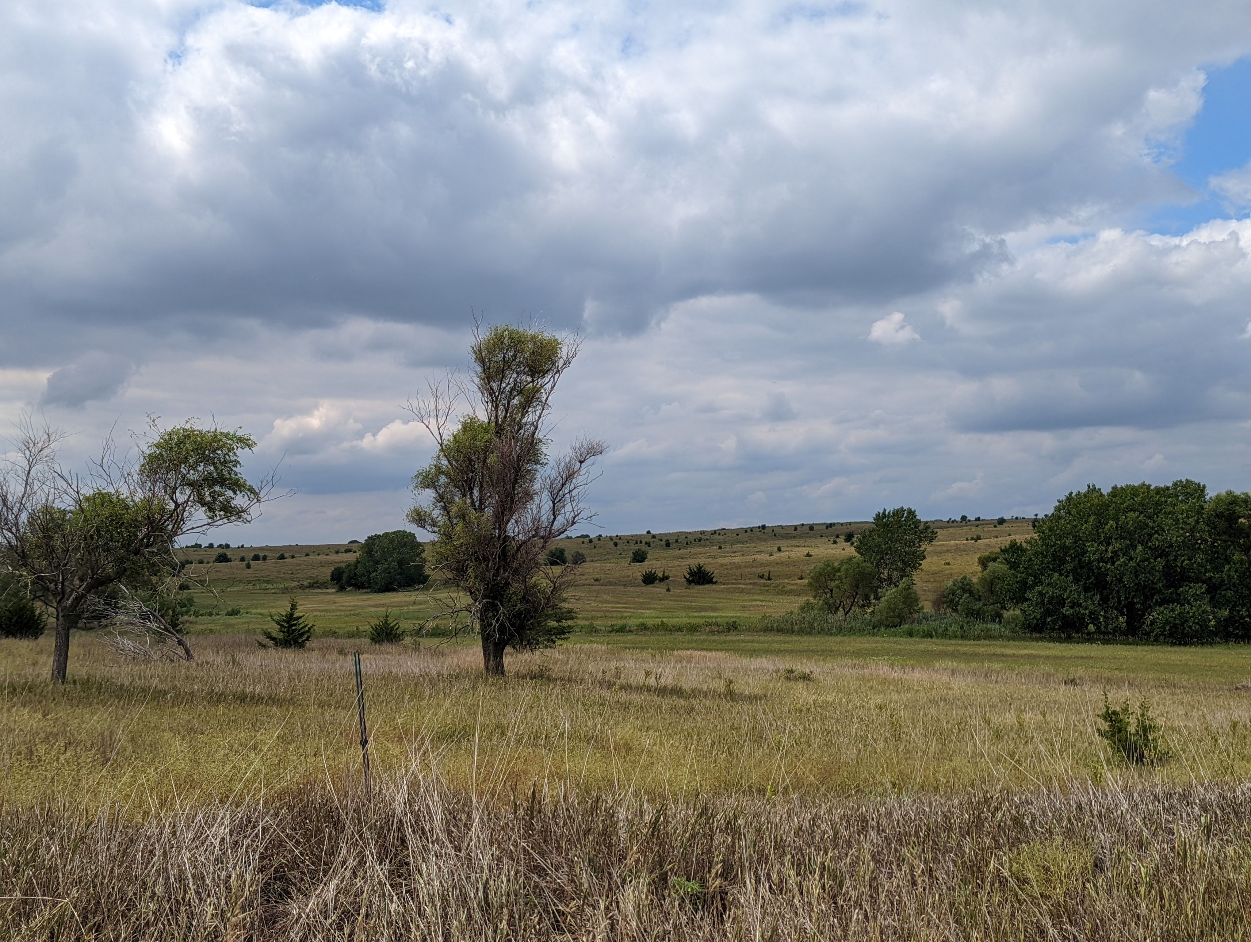 Item 13 in **SOLD** Auction: 190 Acres +/- Osborne County, Kansas gallery