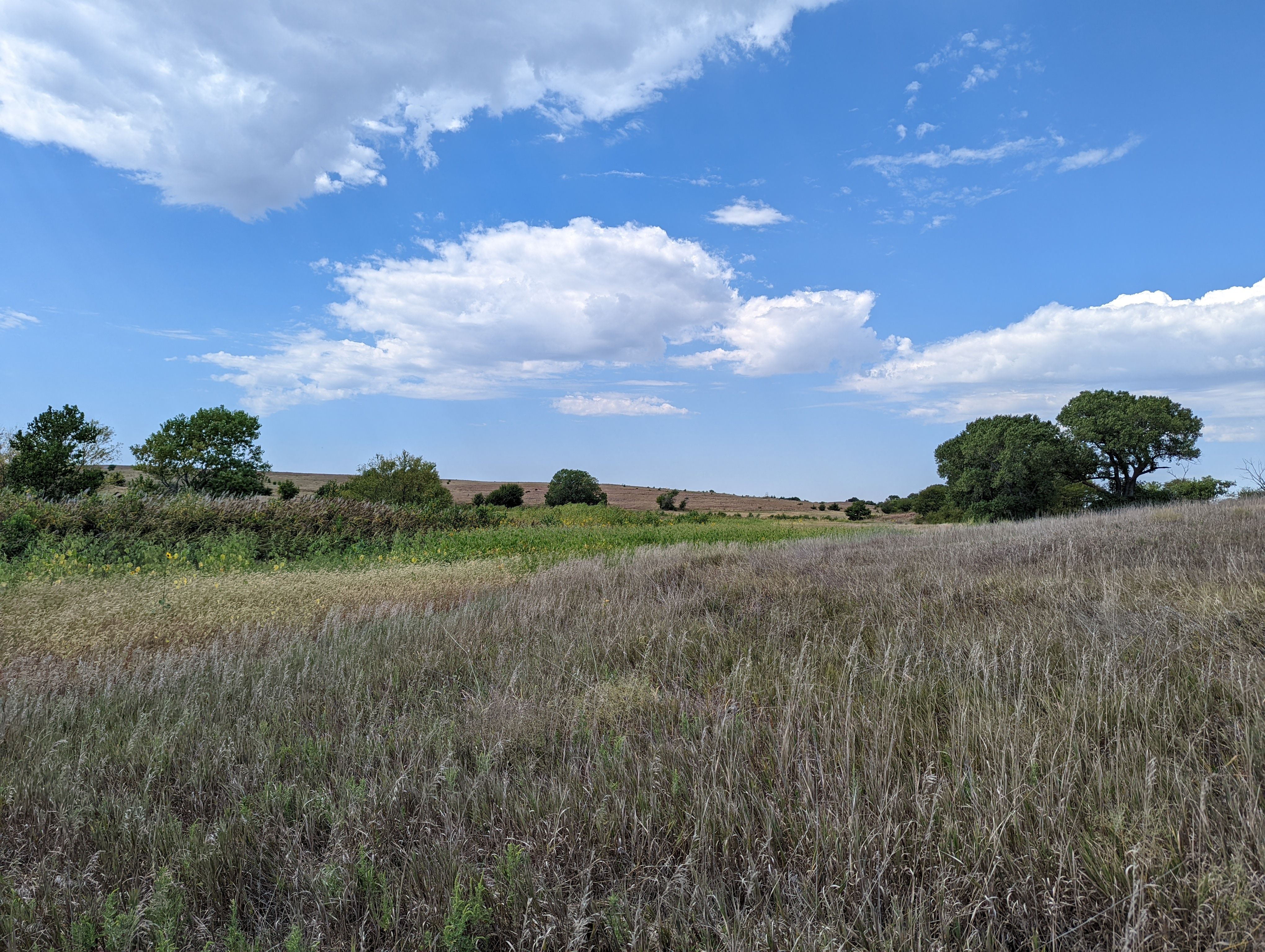 Item 9 in **SOLD** Auction: 190 Acres +/- Osborne County, Kansas gallery