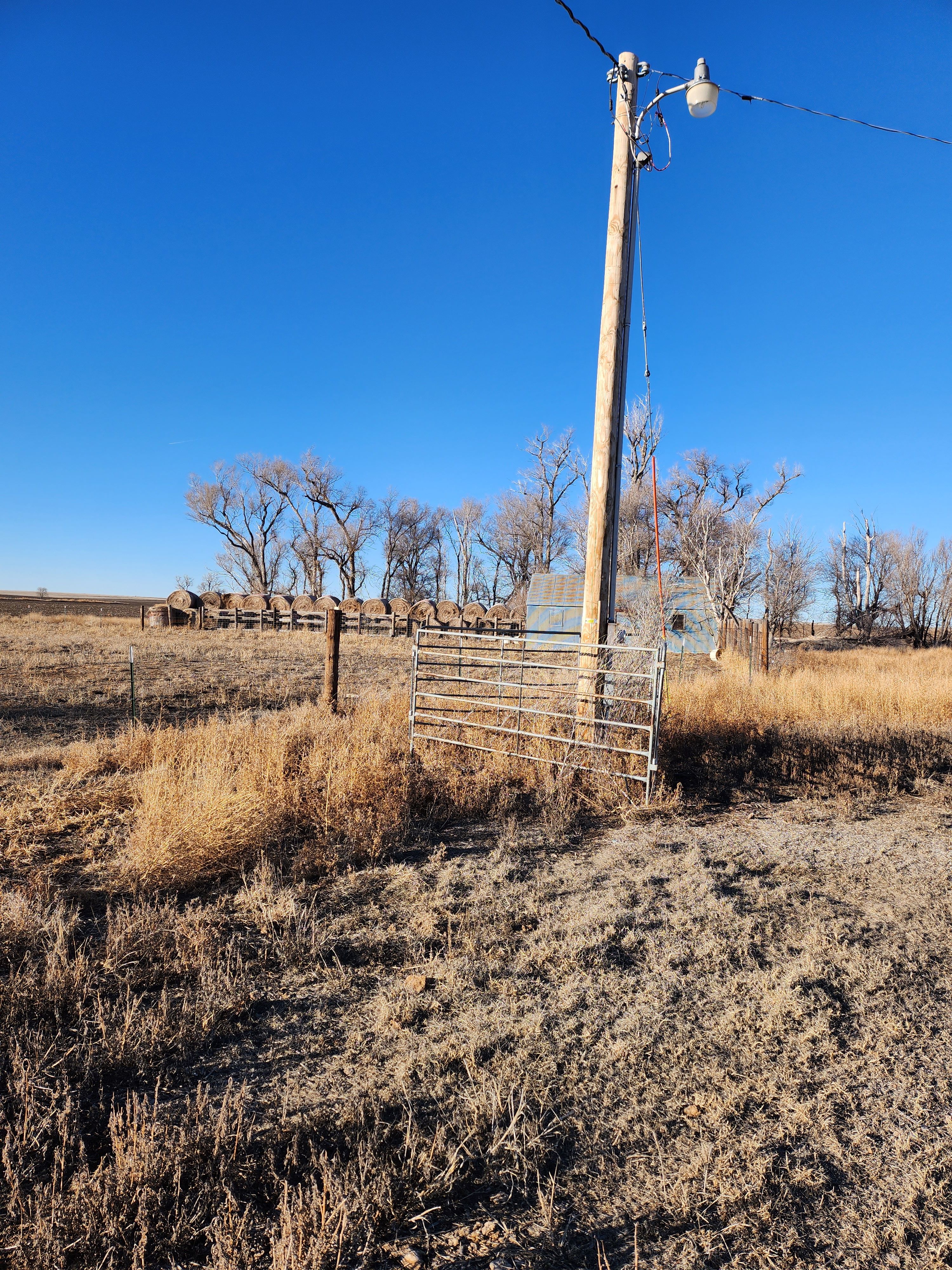 Item 21 in *SOLD* Auction: 800 +/- Acres Ness County, KS gallery