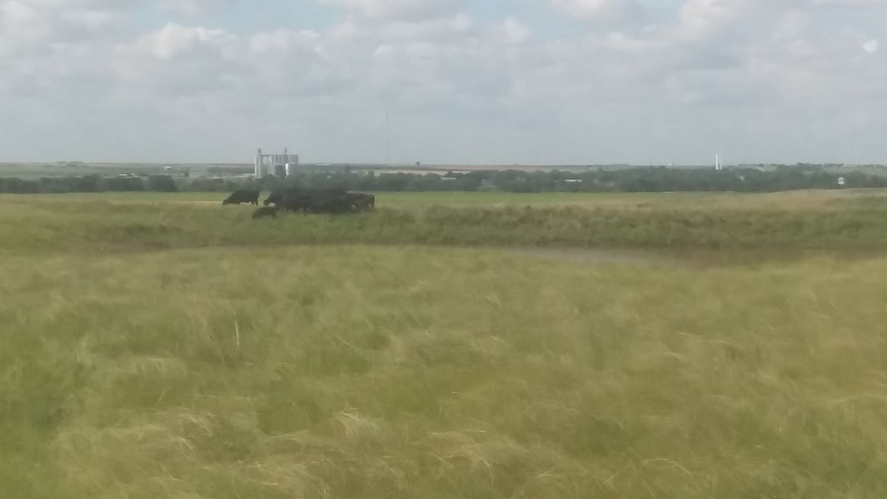 Item 5 in SOLD! 75 +/ Acres Rush County, Kansas gallery