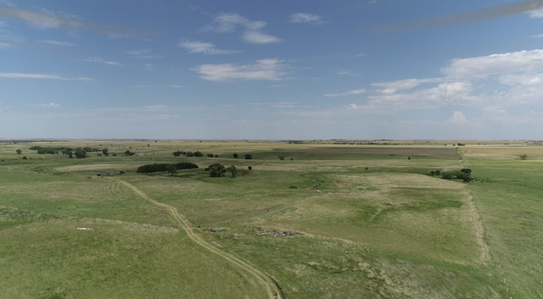 Item 6 in SOLD!!!! Auction : 150 acres +/- Rush County, KS gallery