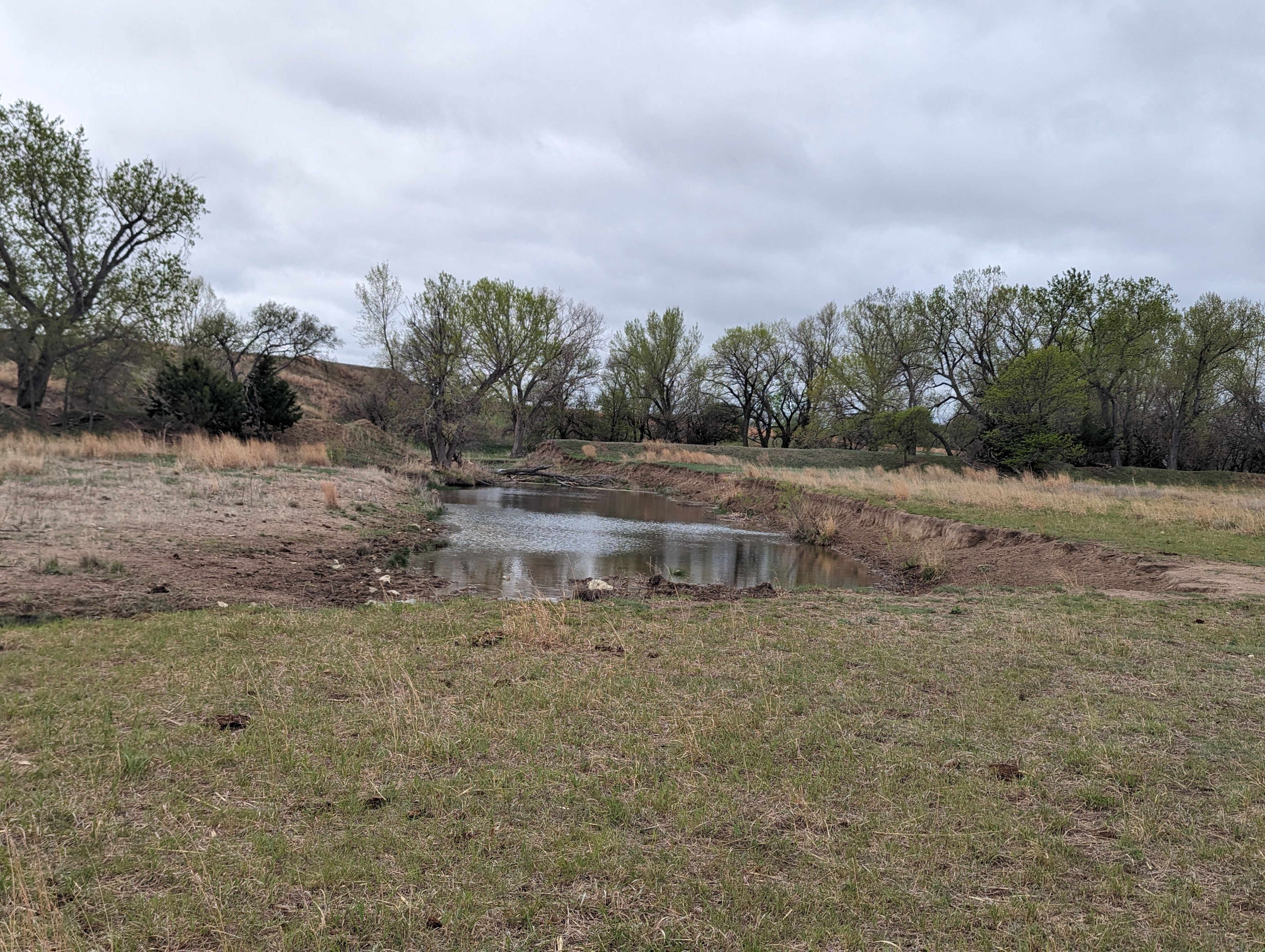 Item 5 in 1184 acres +/- Graham Co. Native Fenced Grassland gallery