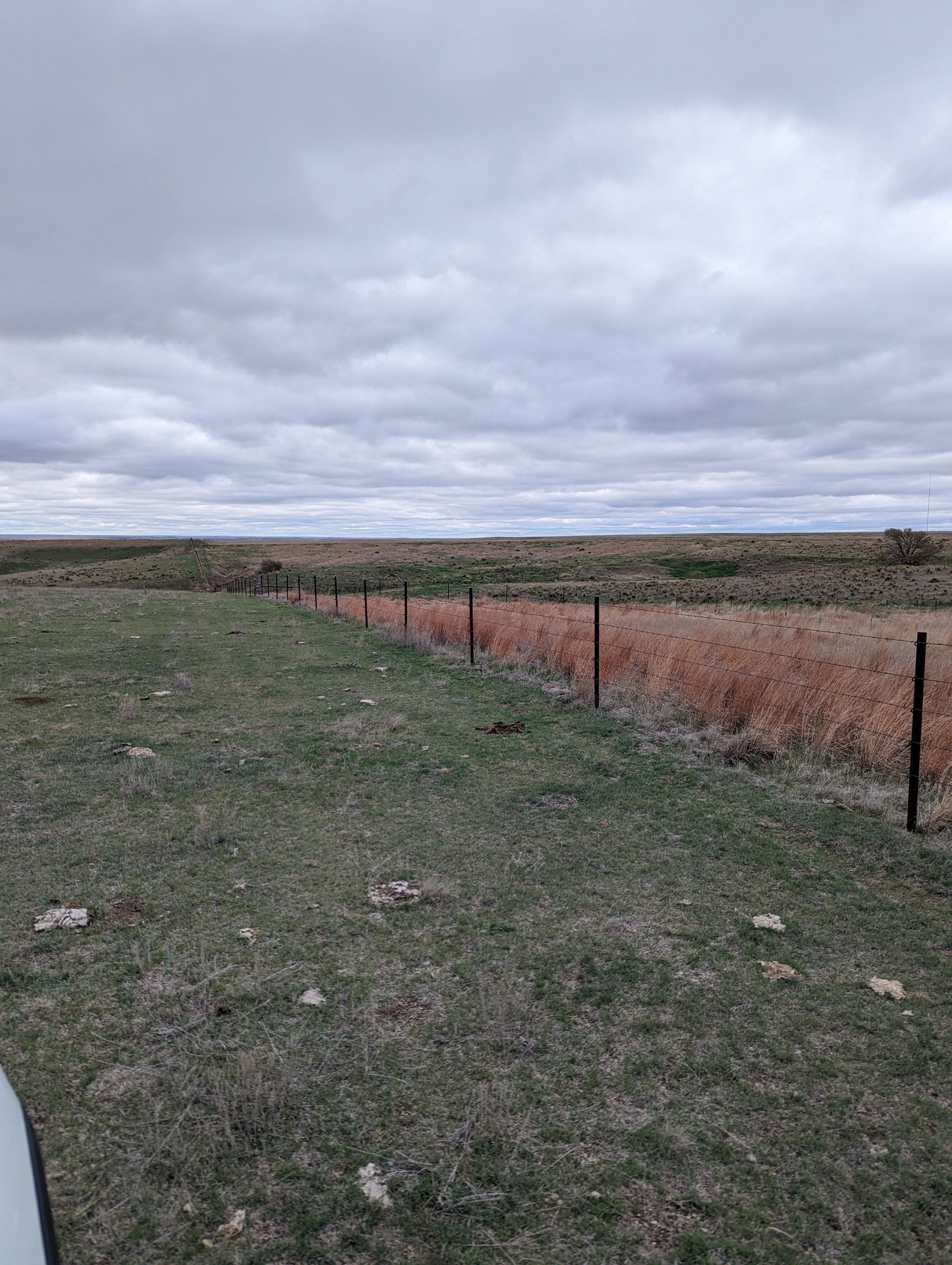 Item 16 in 1184 acres +/- Graham Co. Native Fenced Grassland gallery