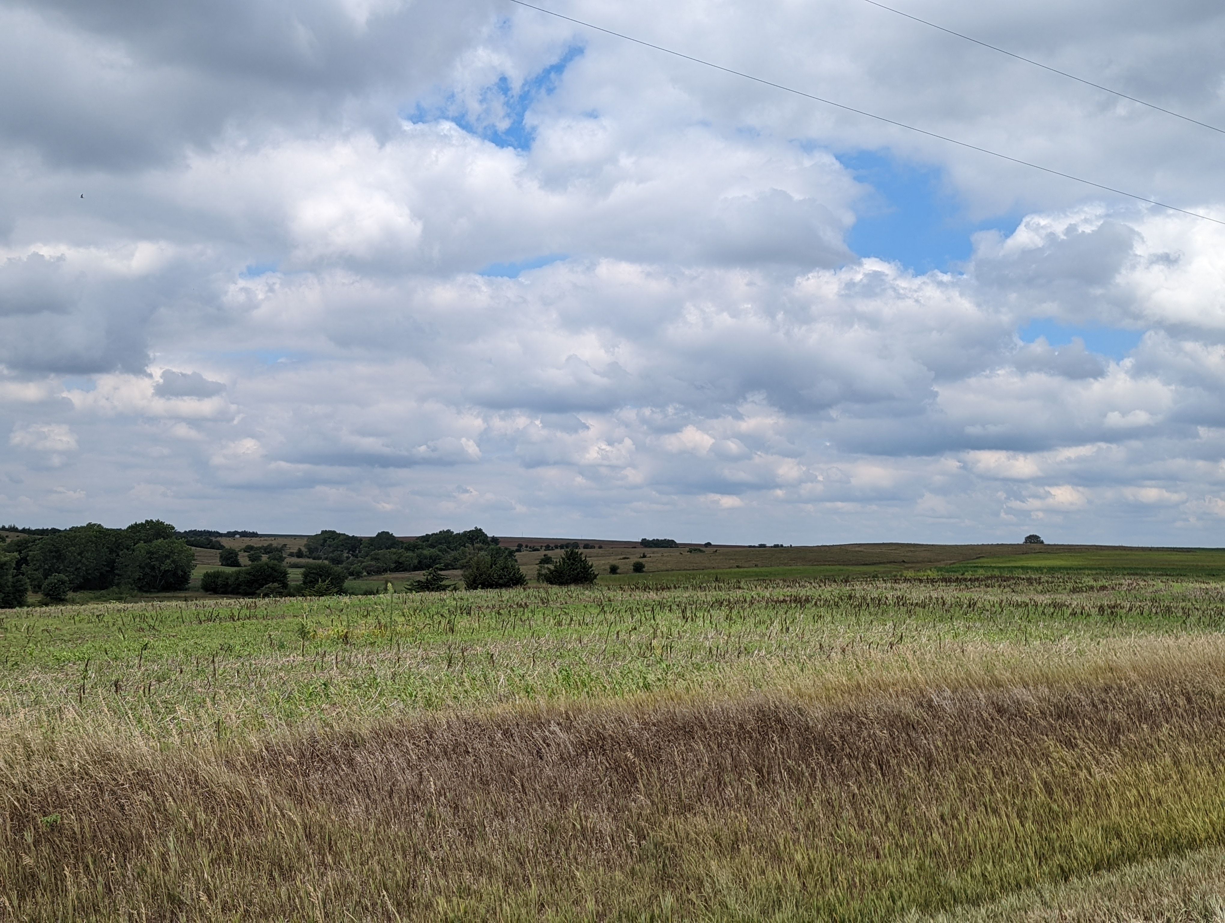 Item 6 in **SOLD** Auction: 190 Acres +/- Osborne County, Kansas gallery
