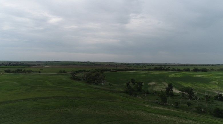 Item 6 in **SOLD BY PRIVATE TREATY**Auction: 160 acres +/- Rooks County, KS gallery