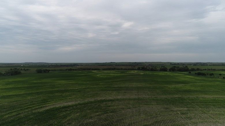 Item 9 in **SOLD BY PRIVATE TREATY**Auction: 160 acres +/- Rooks County, KS gallery