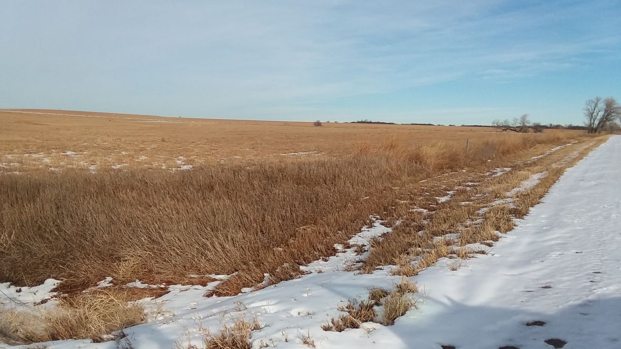 Item 2 in 240 +/- Acres Ness County, Kansas gallery