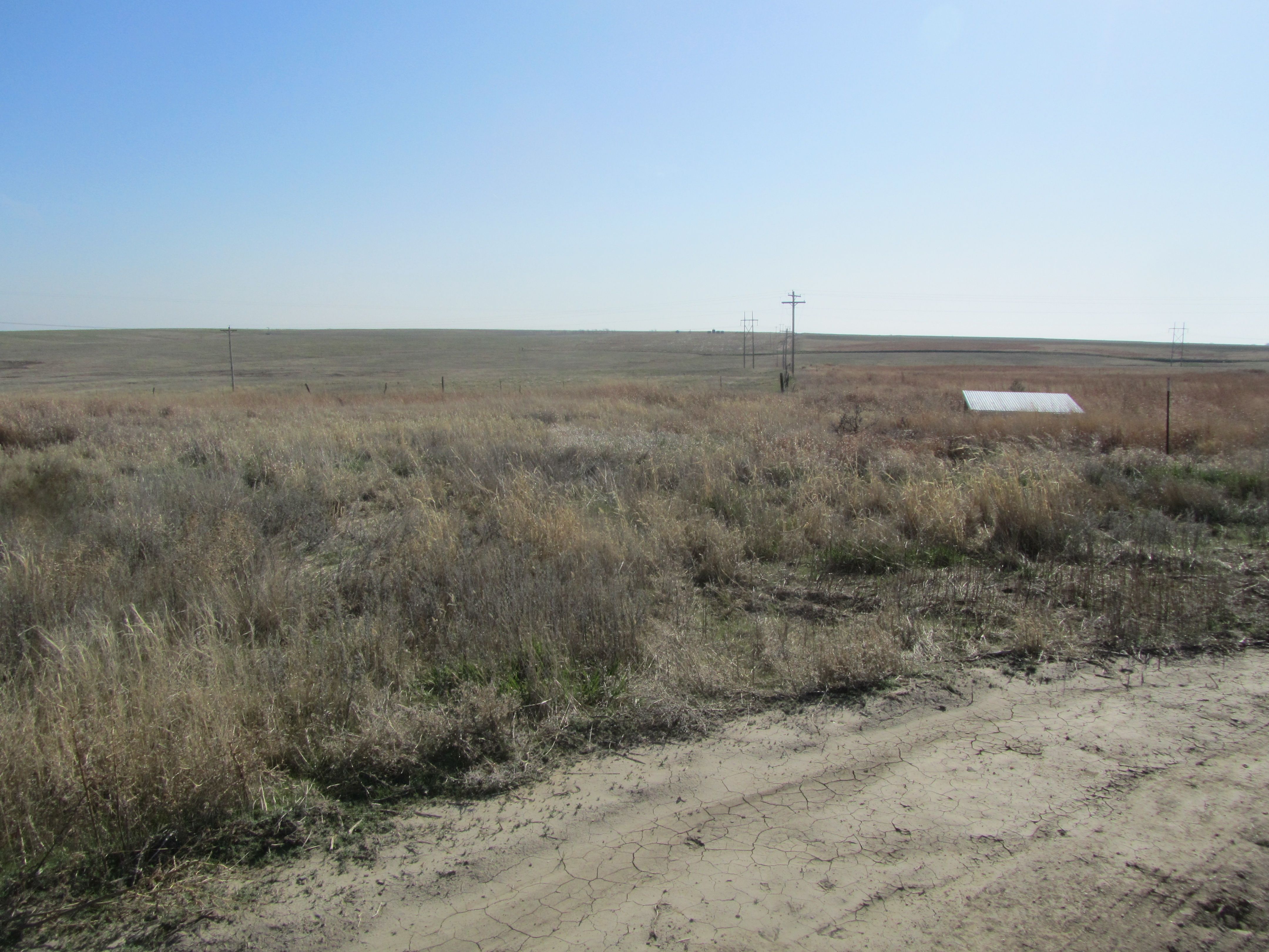 Item 11 in 320 +/ Acres Graham County, Kansas gallery