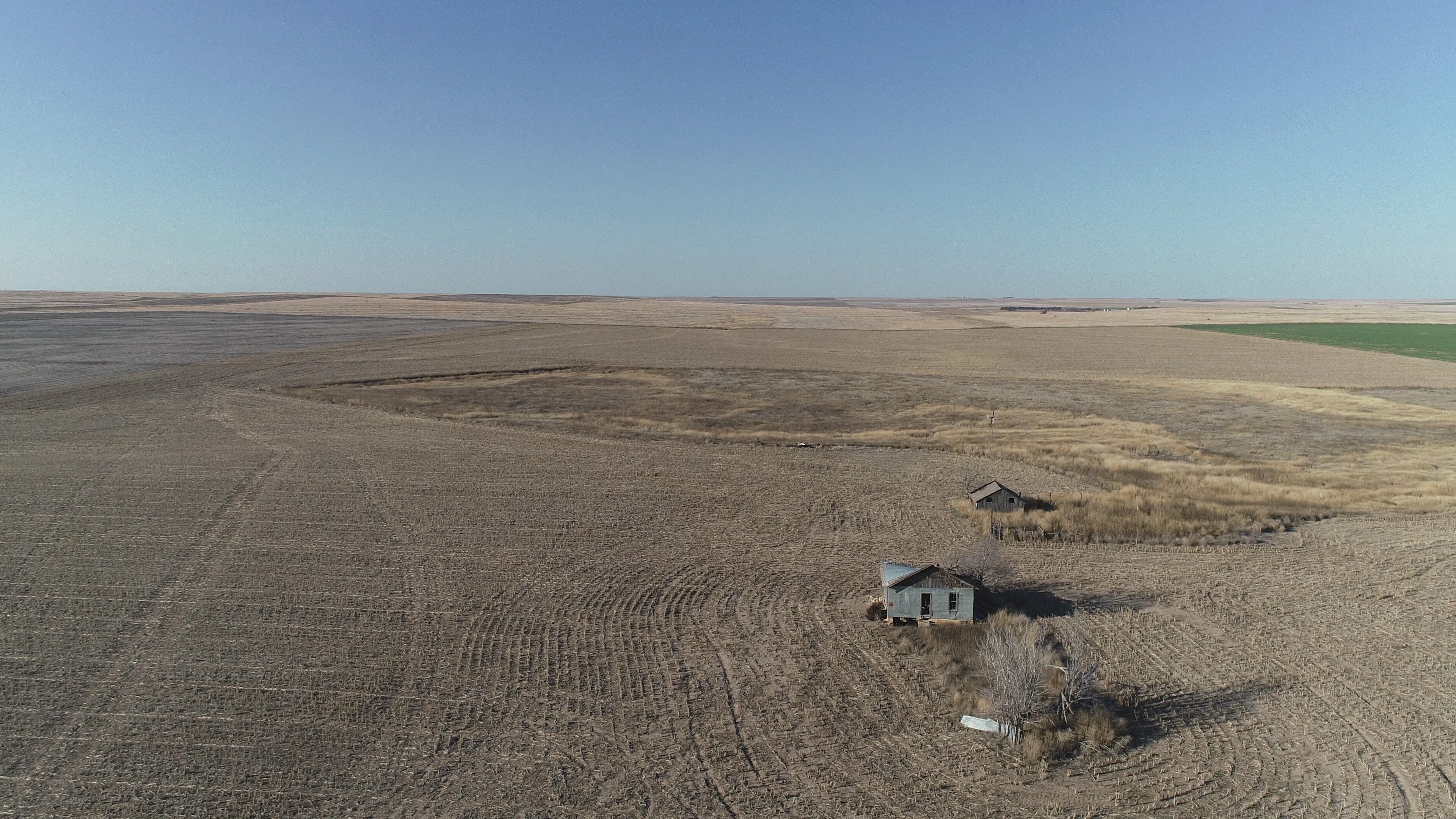 Item 1 in *UNDER CONTRACT* AUCTION: 320 Acres +/- Lane Co. Farmland gallery