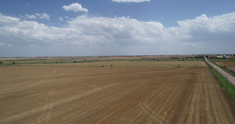 Item 3 in SOLD!!!! Auction: 160 acres +/- Rush County, KS gallery