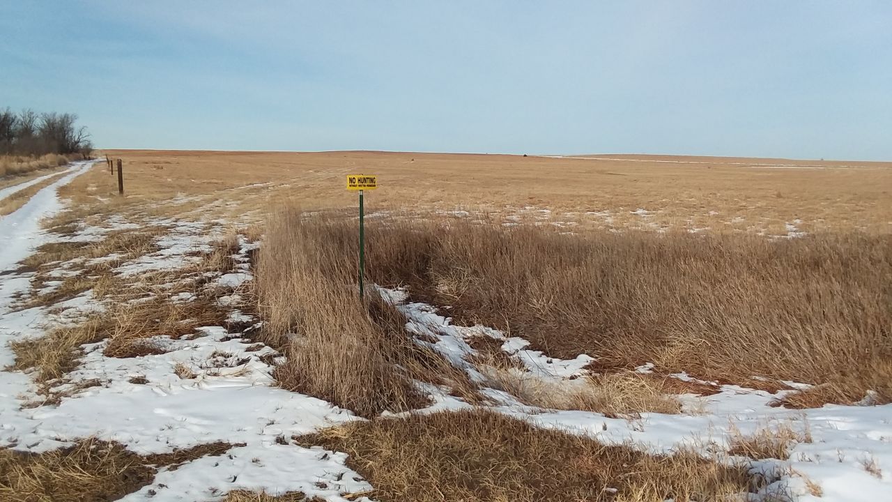 Item 8 in 240 +/- Acres Ness County, Kansas gallery