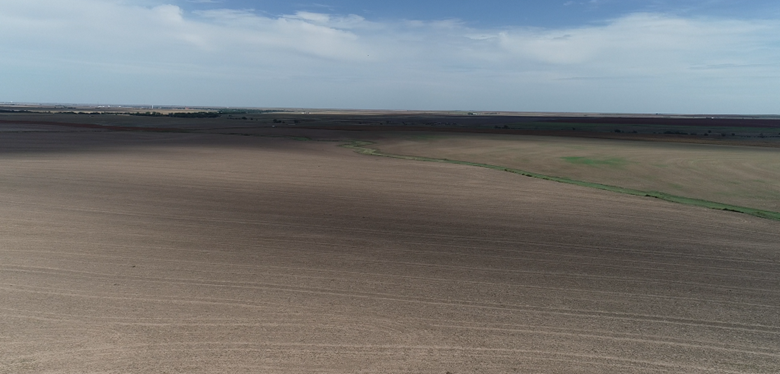 Item 1 in **SOLD ** Auction: 303 Acres +/- Rush County Farmland gallery