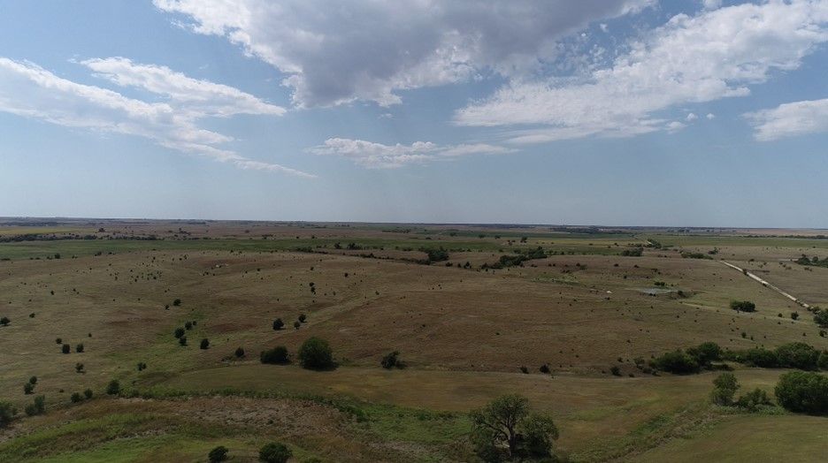 Item 11 in **SOLD** Auction: 190 Acres +/- Osborne County, Kansas gallery