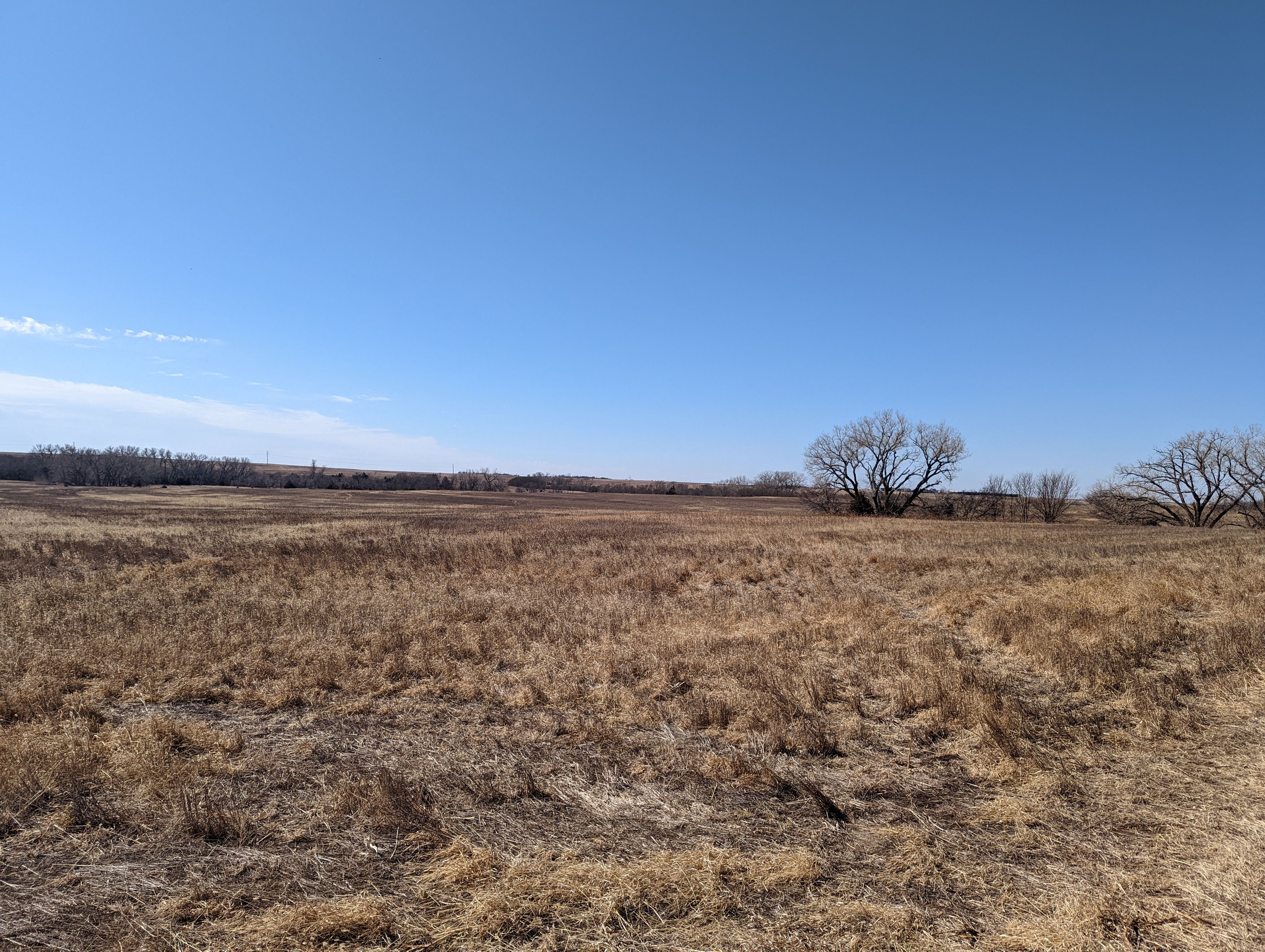 Item 10 in SOLD!!! Auction: 800 Acres +/- Trego Co., KS gallery