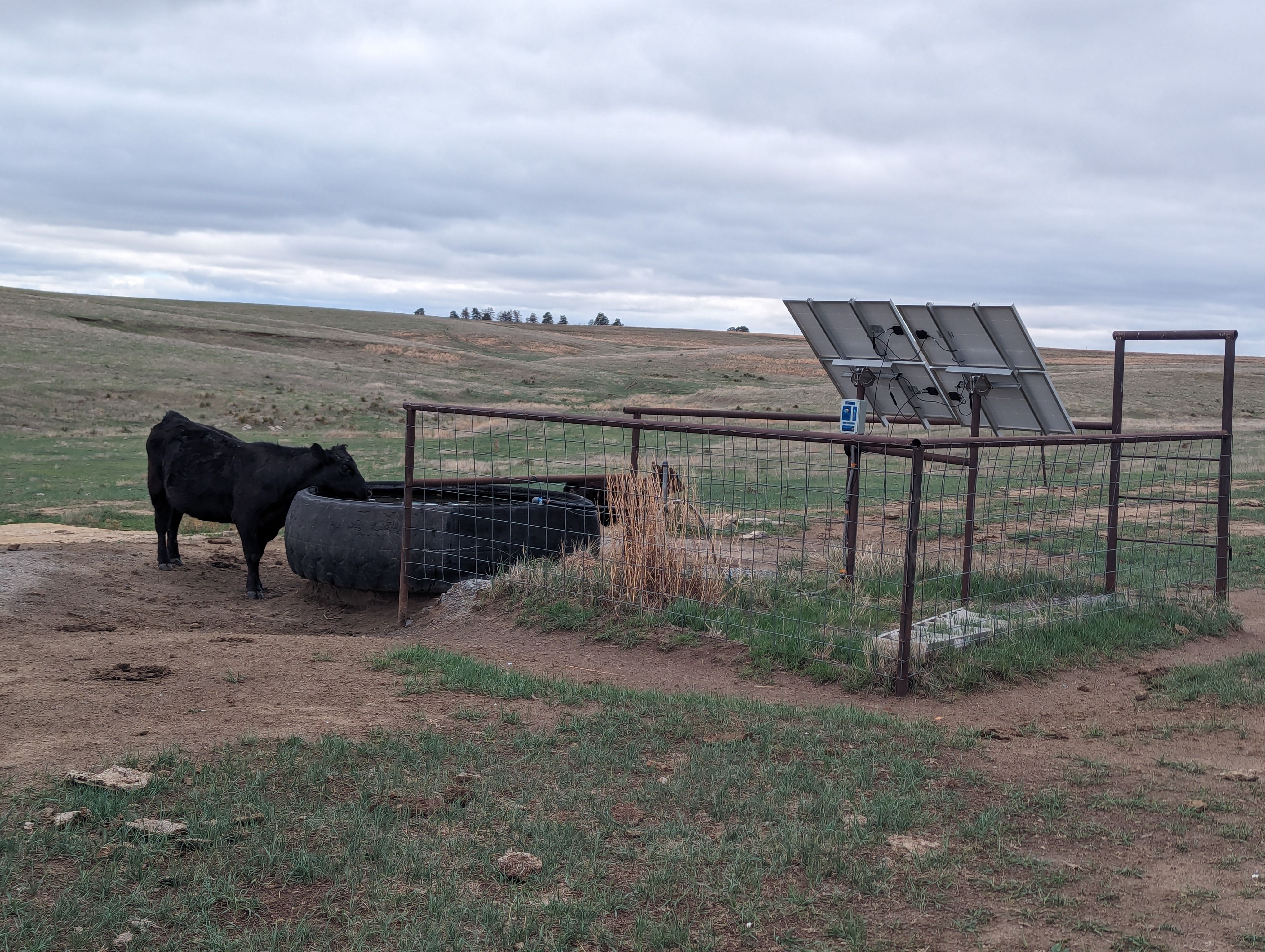 Item 14 in 1184 acres +/- Graham Co. Native Fenced Grassland gallery