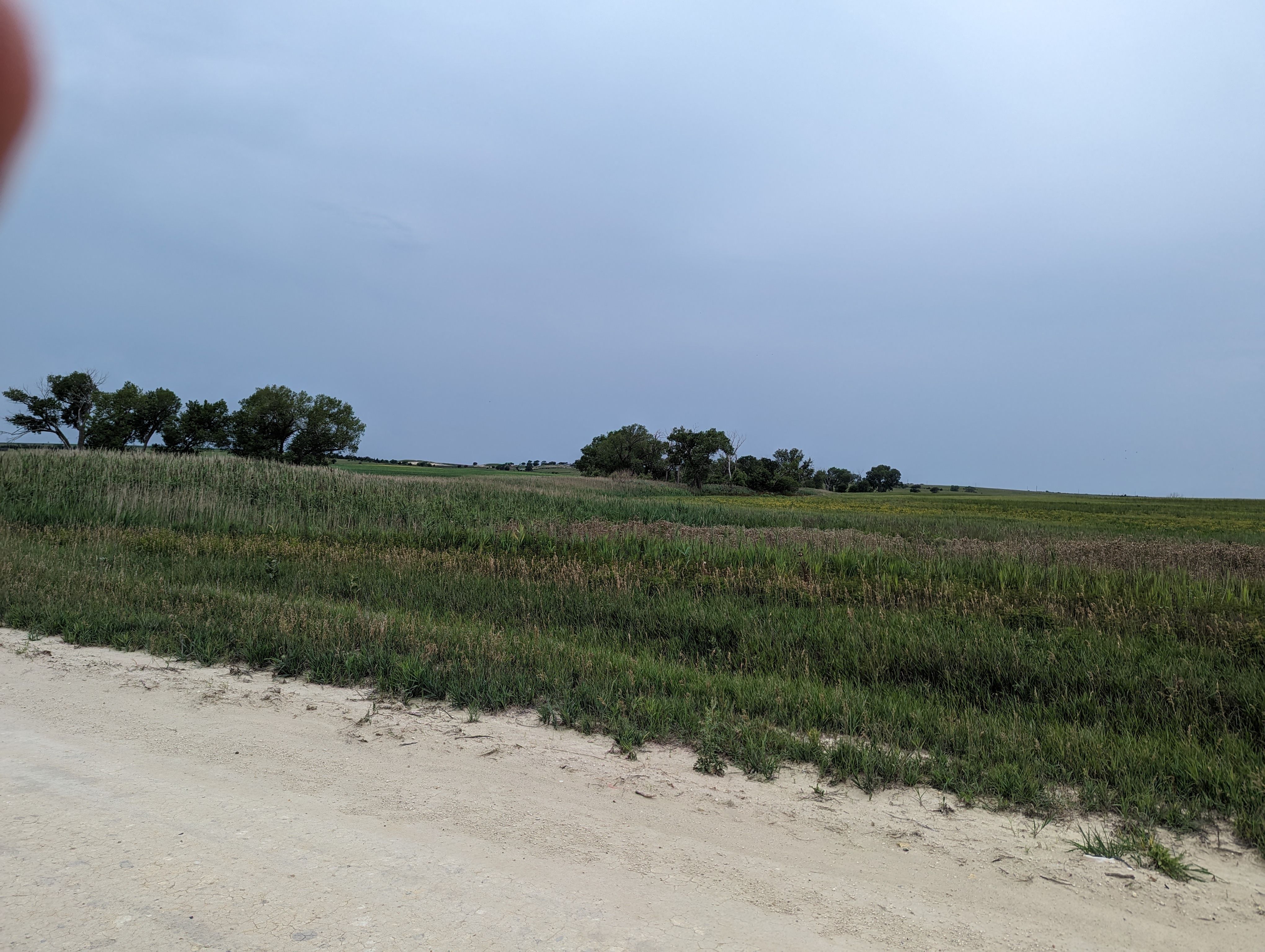 Item 1 in **SOLD BY PRIVATE TREATY**Auction: 160 acres +/- Rooks County, KS gallery